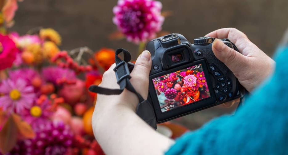 Camera on hands closeup. Making nature photo and video with autumn flowers