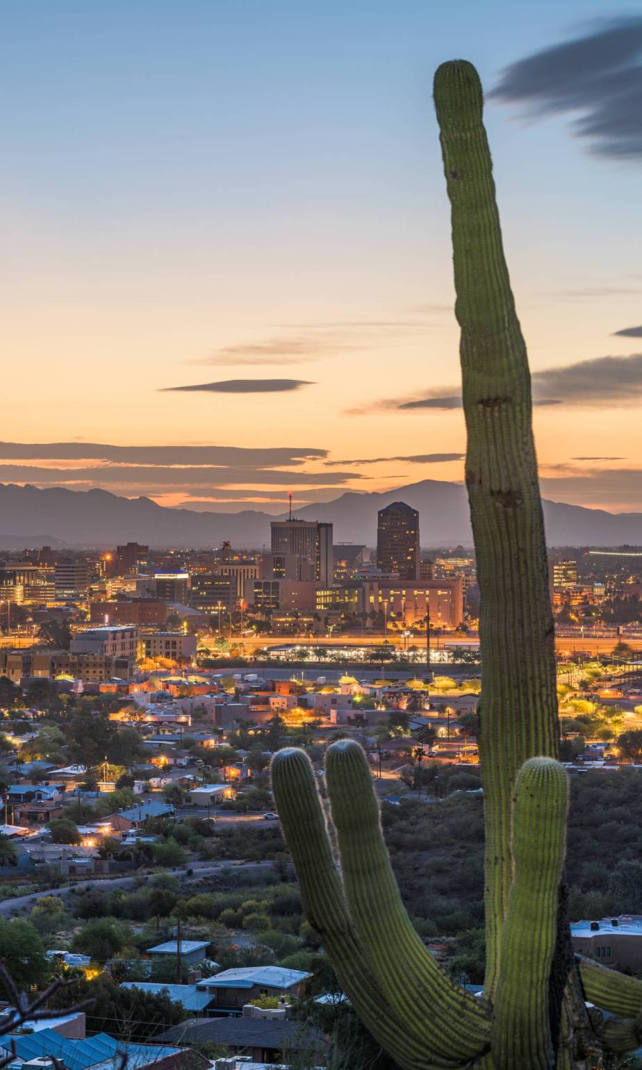 Tuscon, Arizona, USA Cityscape and Cactus